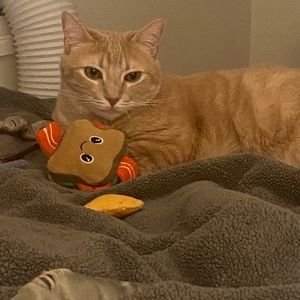 Meet your Posher, Marley